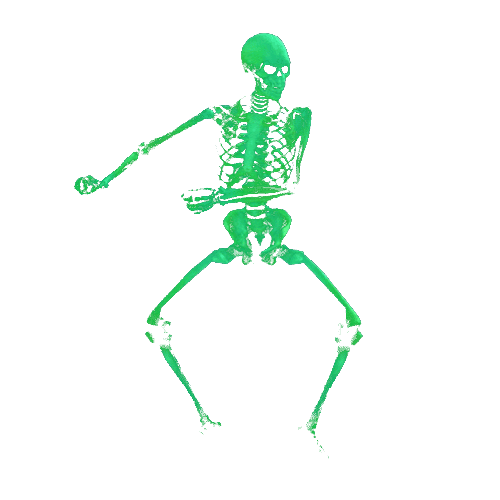 skeleton
